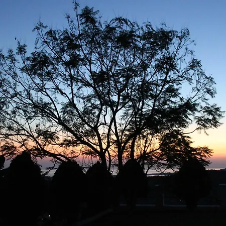 Homestay Zografos *