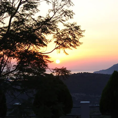Zografos