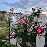 Zografos Zacharo
