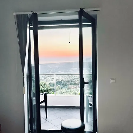 Zografos *