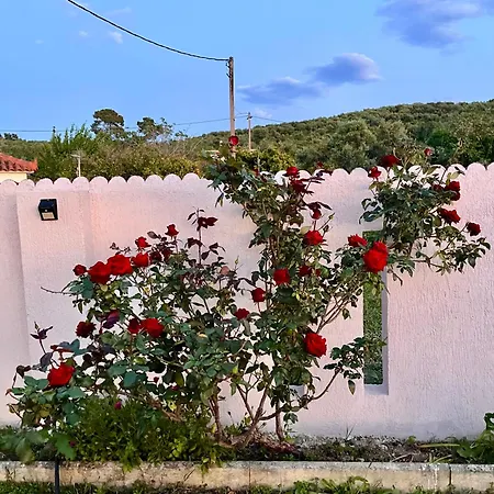 Homestay Zografos Zacharo