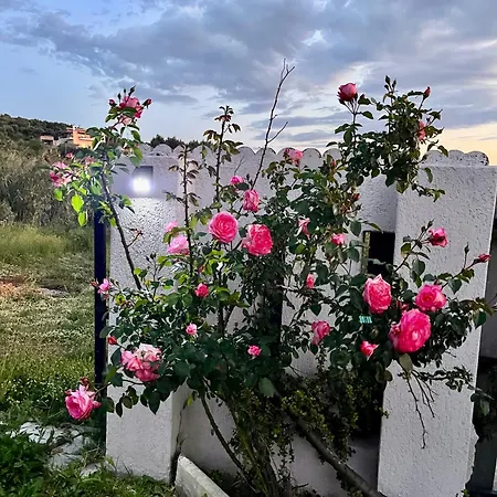 Zografos Zacharo